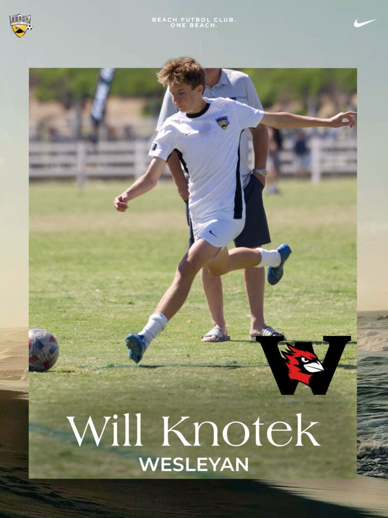 Will Knotek